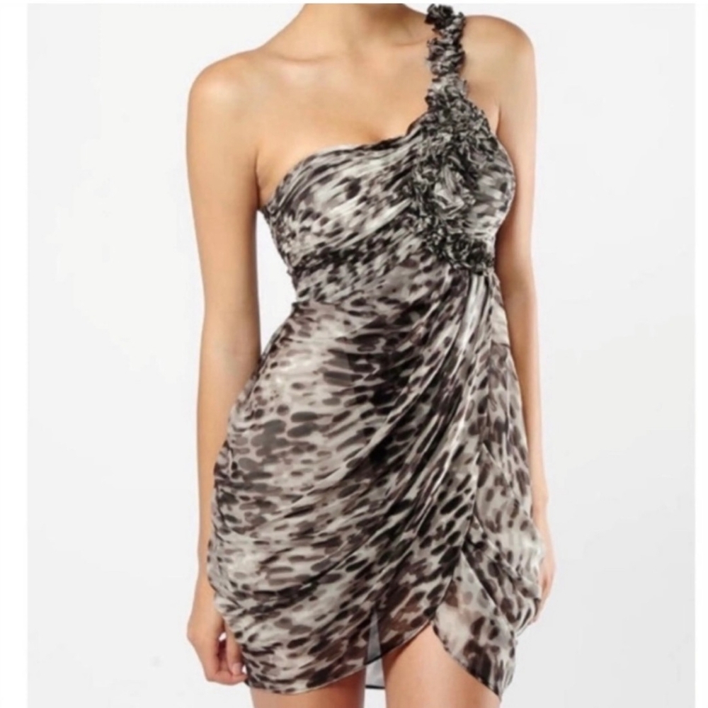 BCBG Max Azria chiffon leopard dress